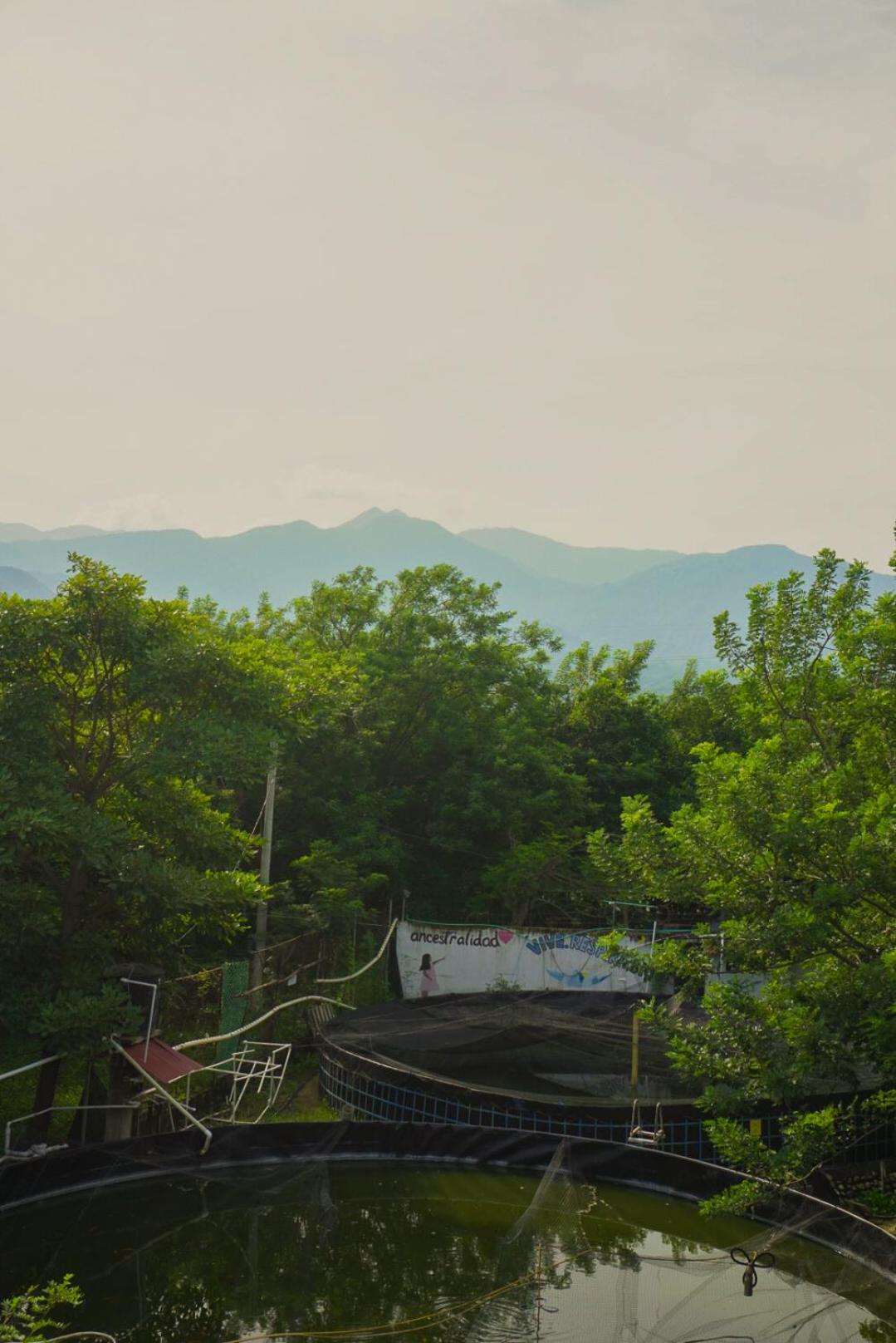 Bio Coliving Tayrona -Espacio para vivir trabajar y descansar en naturaleza