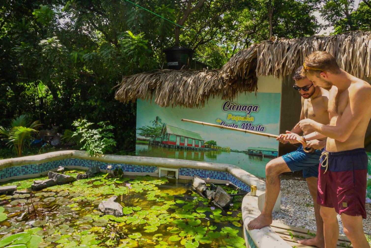Bio Coliving Tayrona -Espacio para vivir trabajar y descansar en naturaleza
