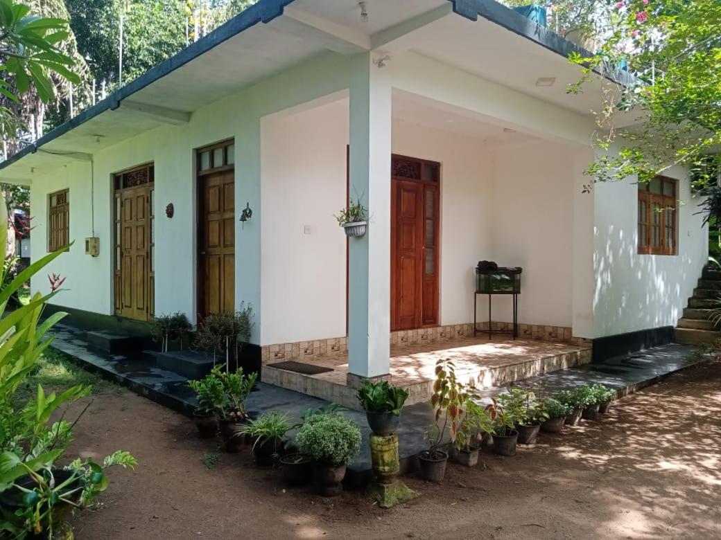 Green Paradise Villa Patuwatha Dodanduwa