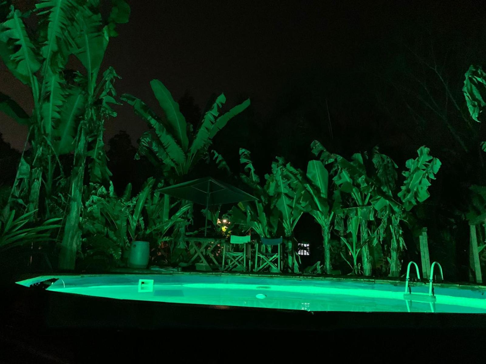 Los Bananos - Wood Cabin Iguazú