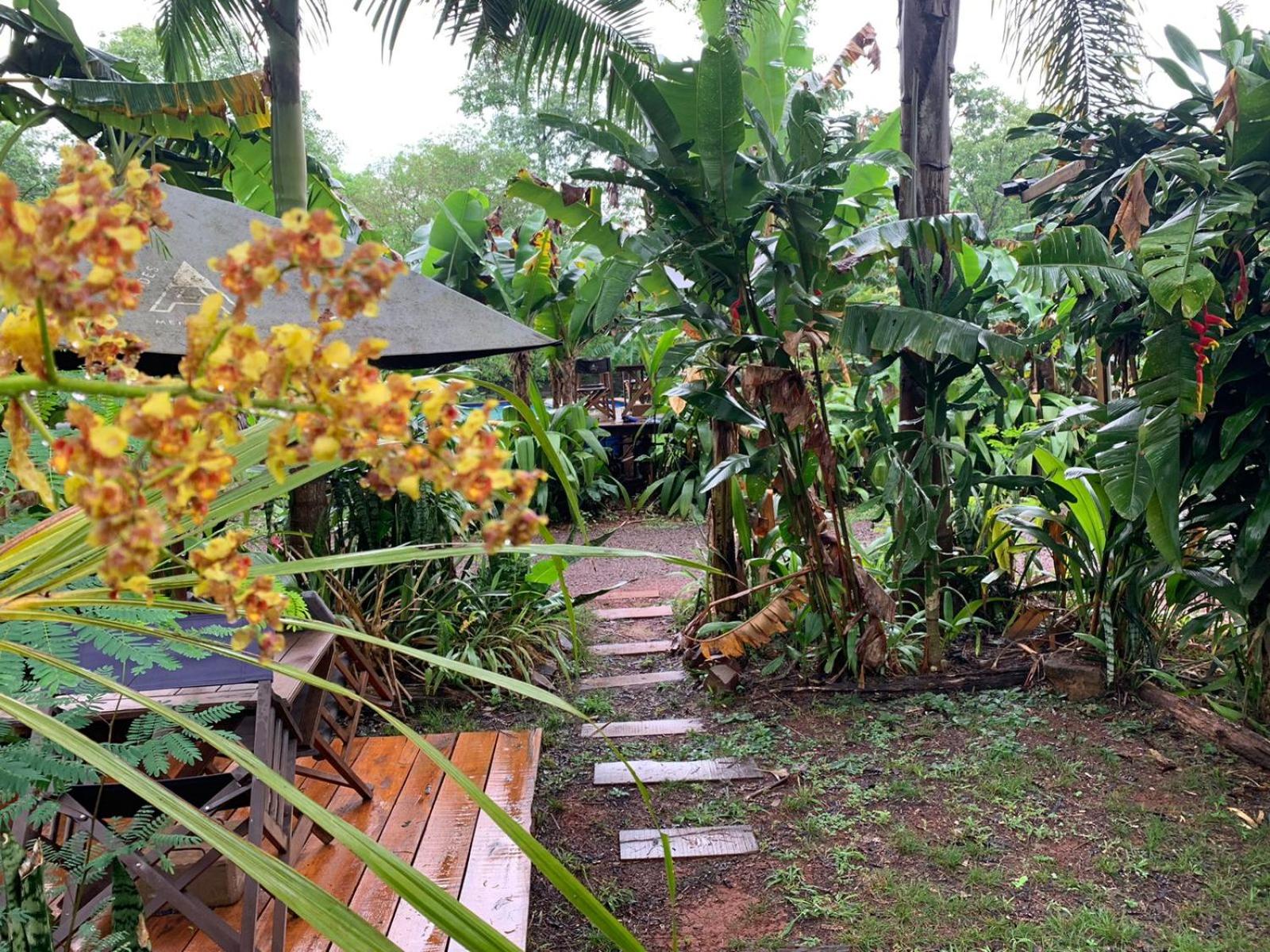 Los Bananos - Wood Cabin Iguazú