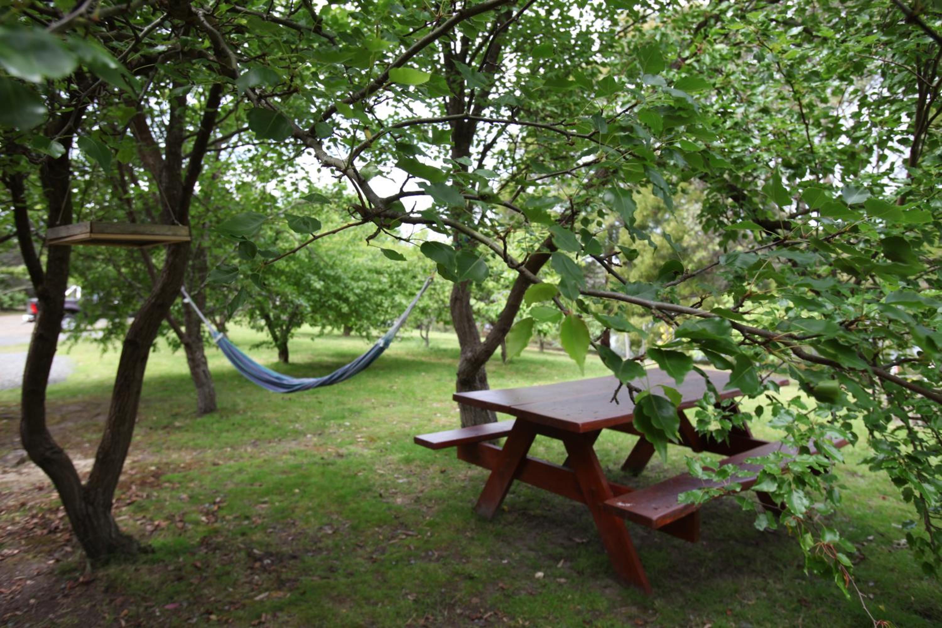 Tranquil Point