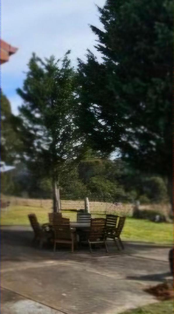 Bellevue Lodge Farm stays near Goulburn