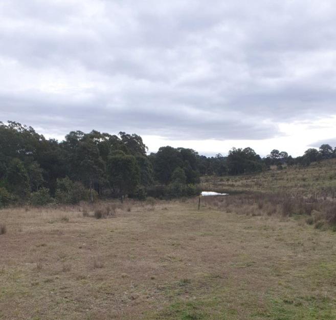 Bellevue Lodge Farm stays near Goulburn
