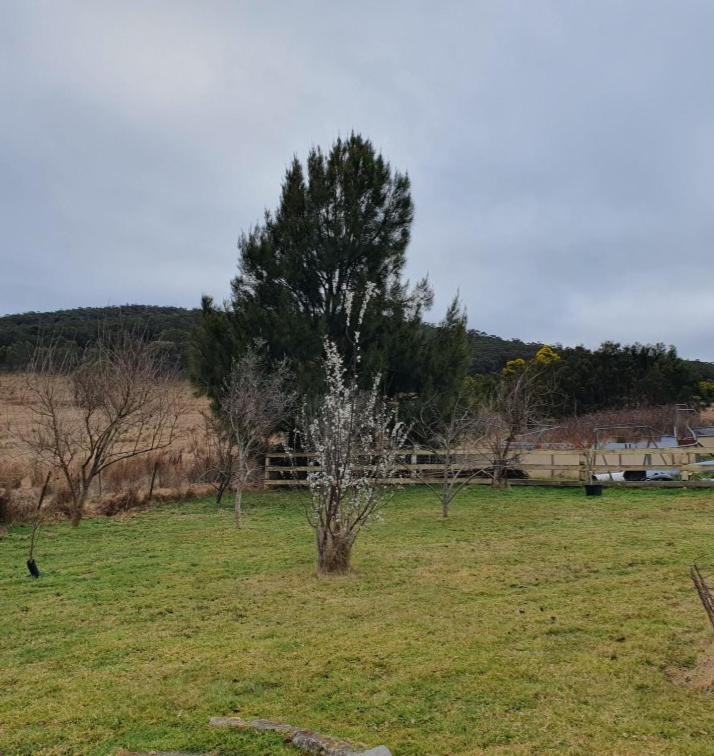 Bellevue Lodge Farm stays near Goulburn