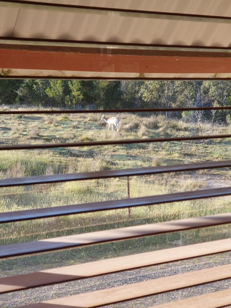 Bellevue Lodge Farm stays near Goulburn