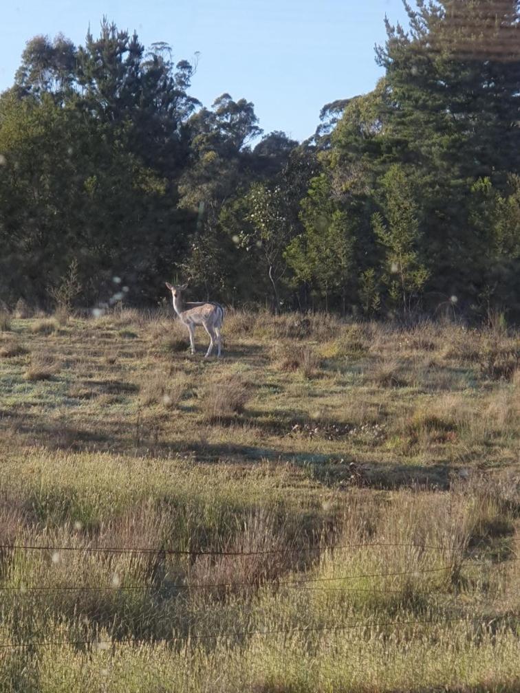 Bellevue Lodge Farm stays near Goulburn