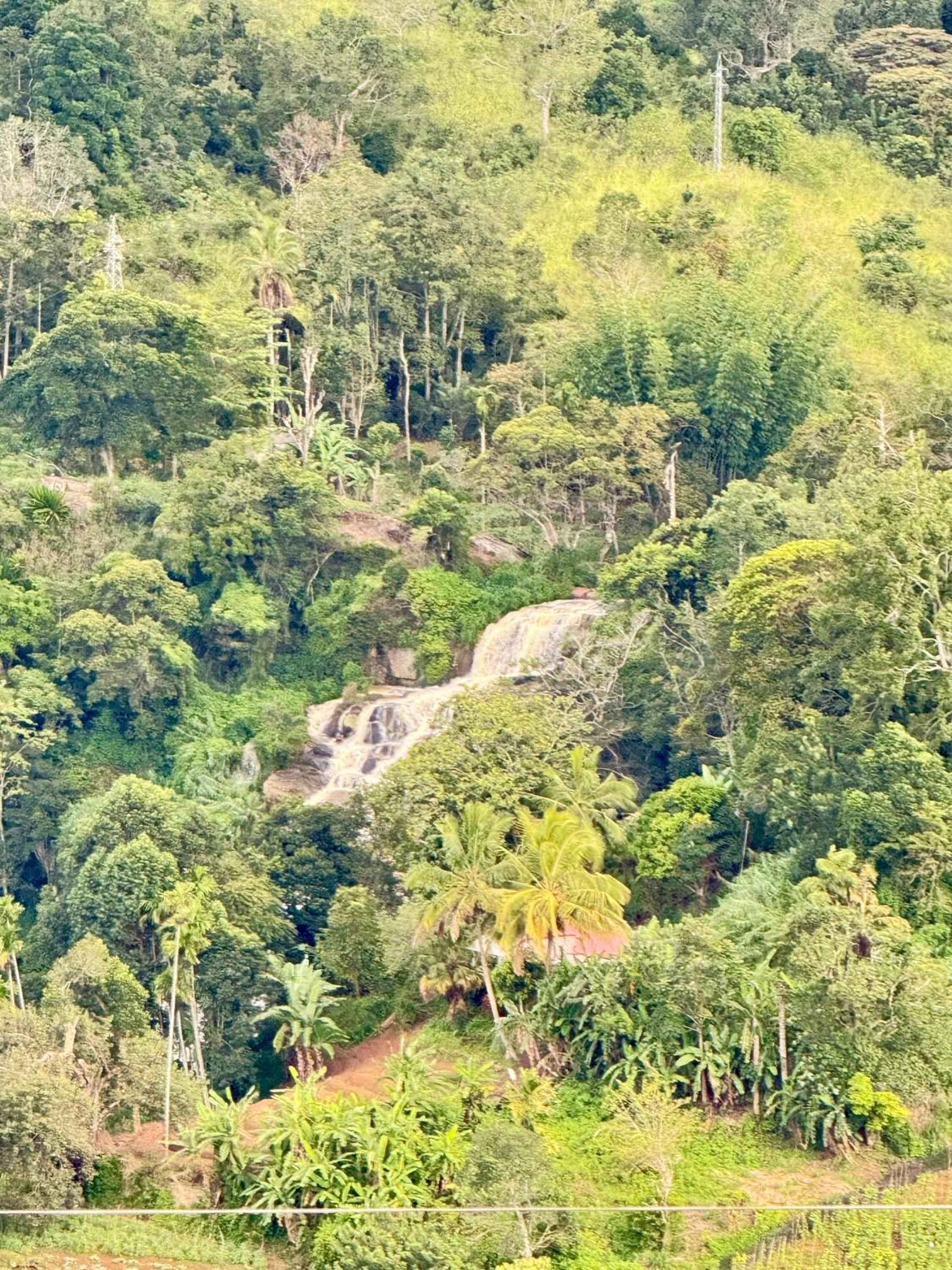 Will Guest Homestay view 3