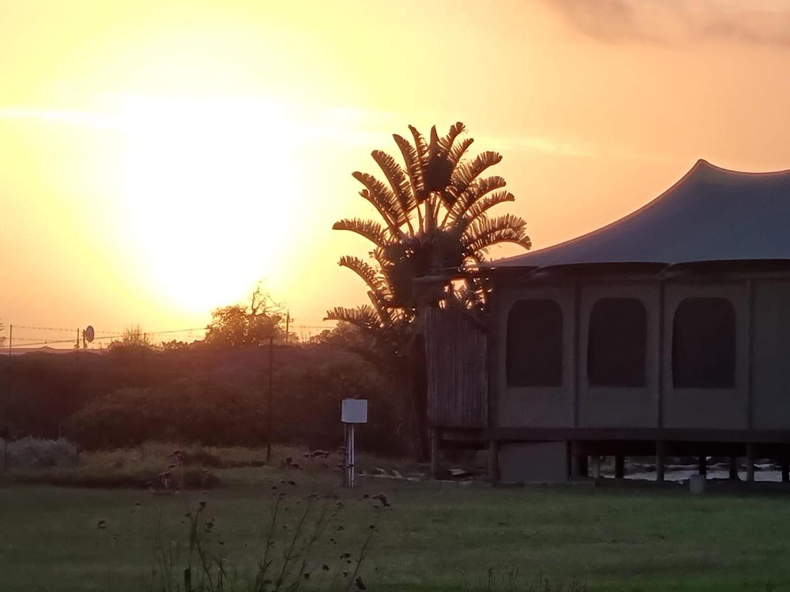 Hillcrest Lodge Tents - Nelanga view 3