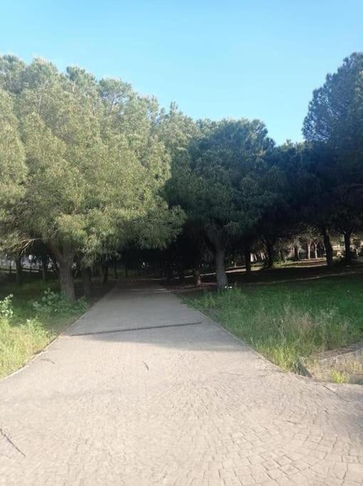 Apartamento Di Matteo, Playa-Piscina
