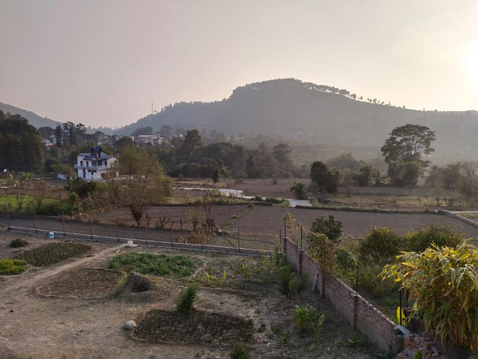 Wood Rose by Happy Hills Bhimtal