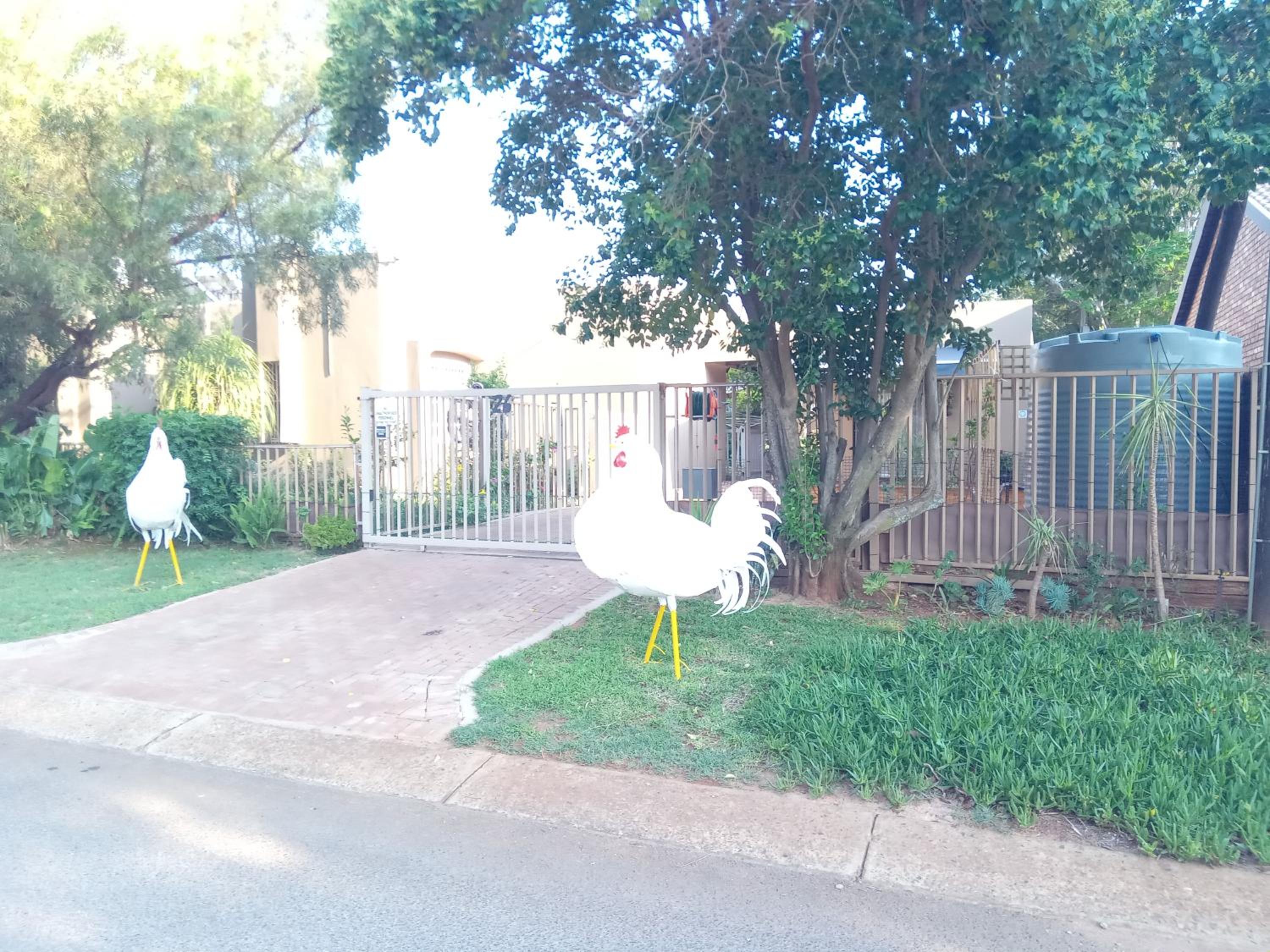 Photo 31