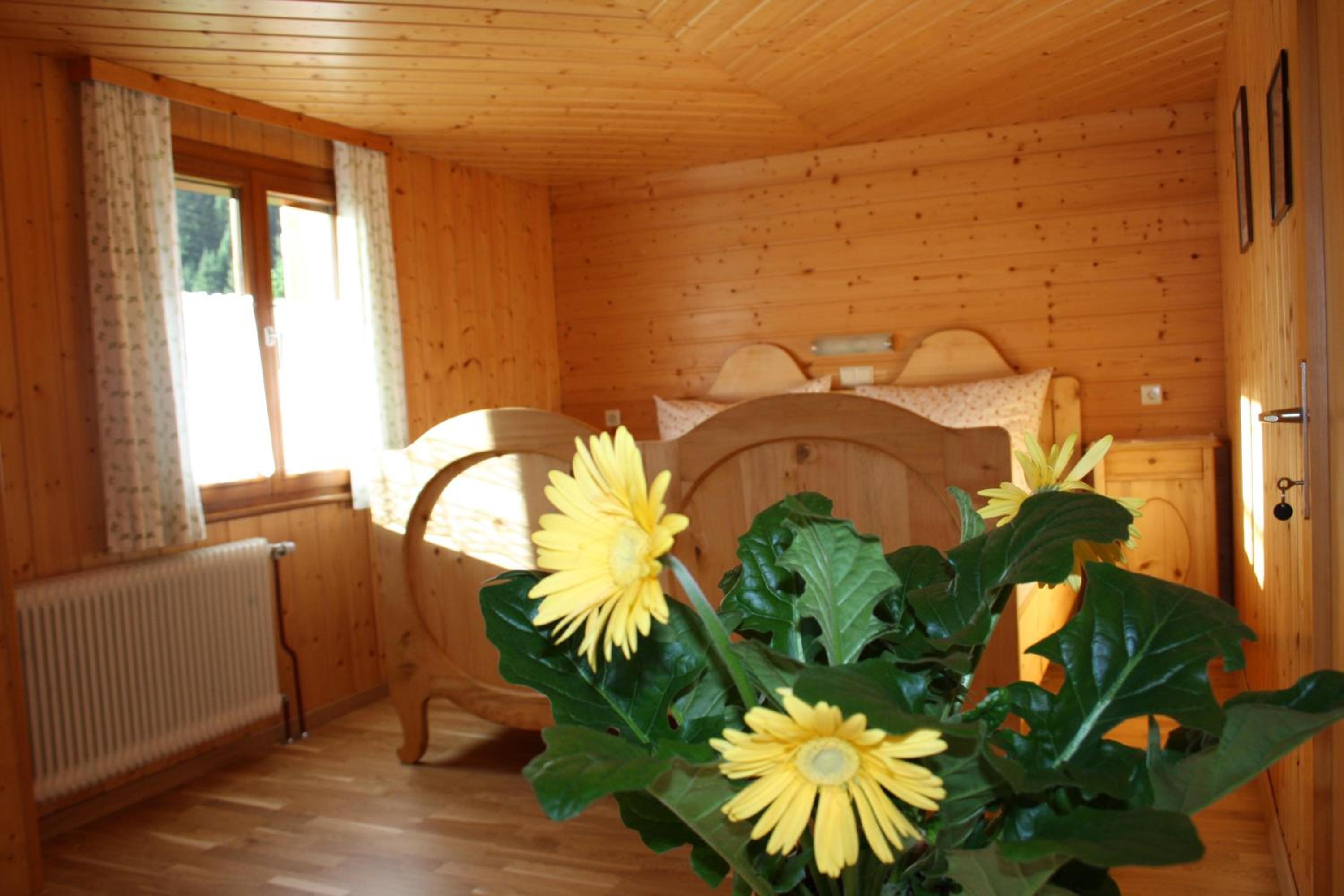 Vendula Montafon