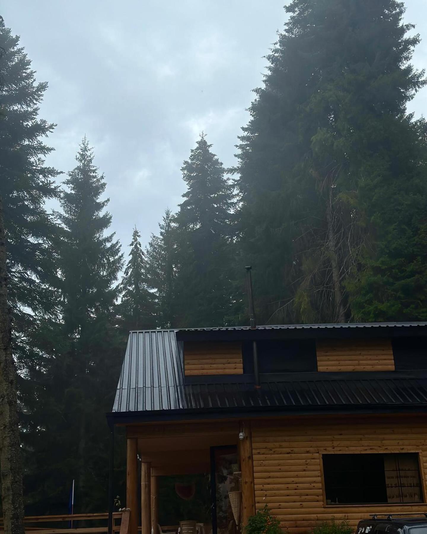 In The Forest