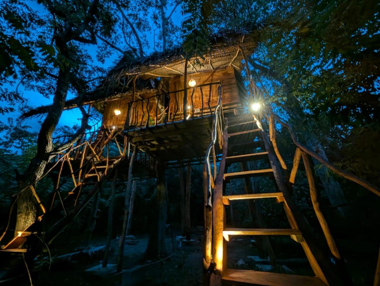 Atha Tree House view 2