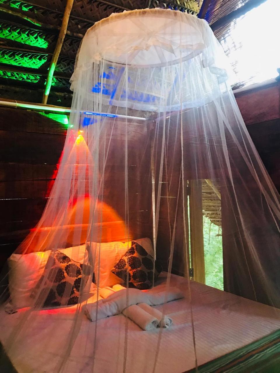 Atha Tree House view 4