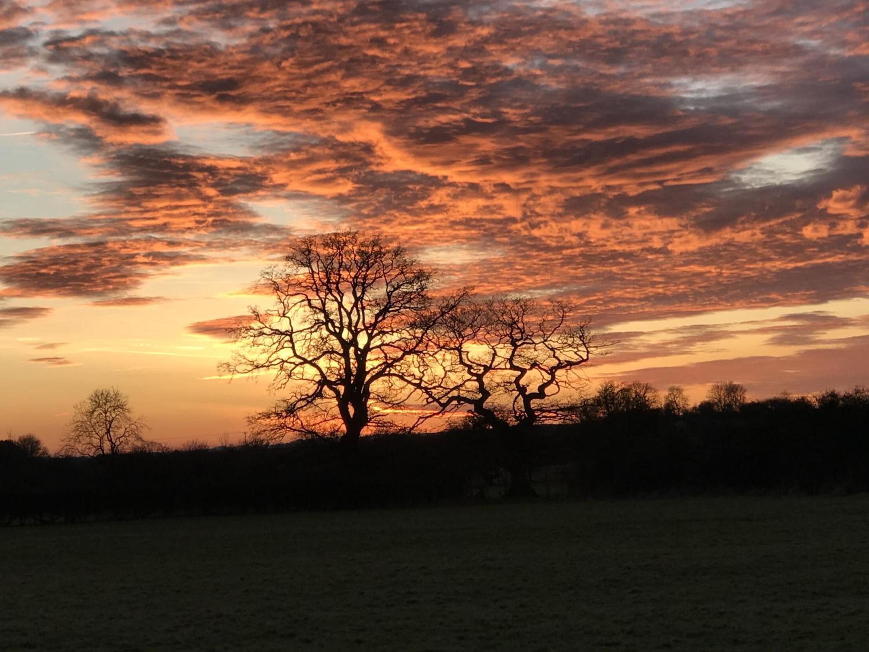 Brickfields Farm