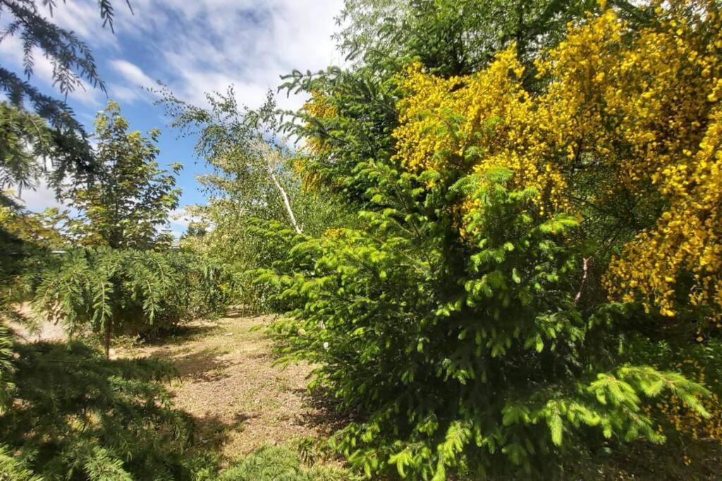 Hermosa casa costa Río Epuyen