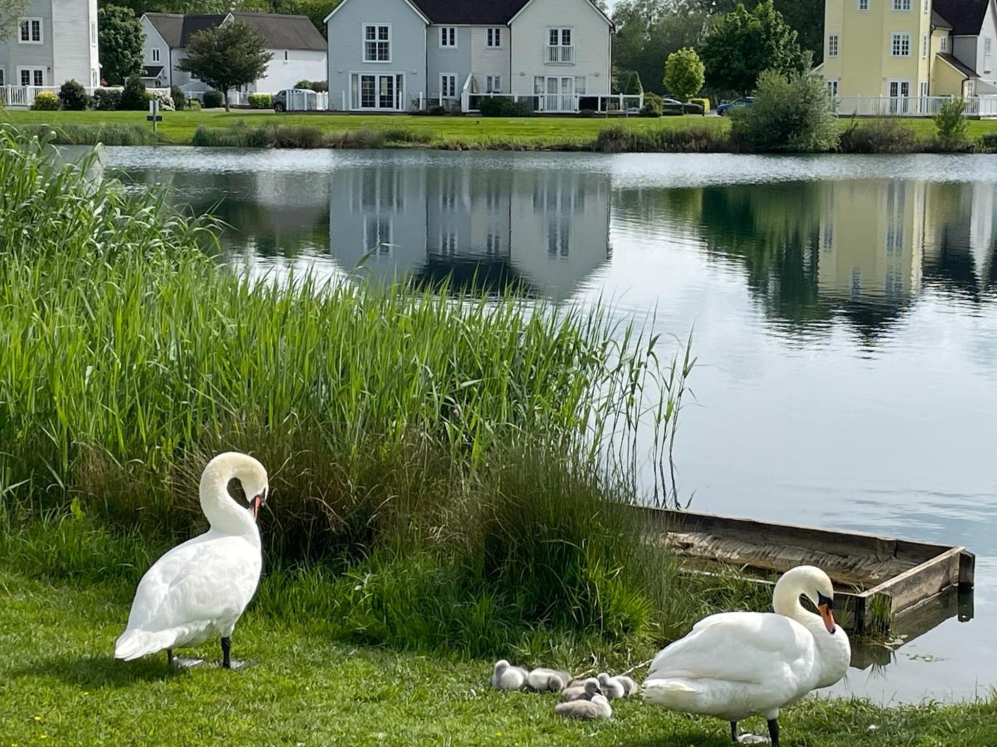 Luxury Kingfisher Lodge, Isis Lake, within the Cotswold Waterpark