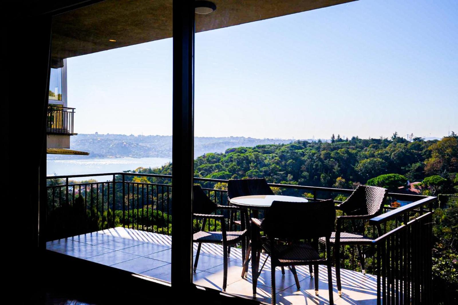Bosphorus view Villa