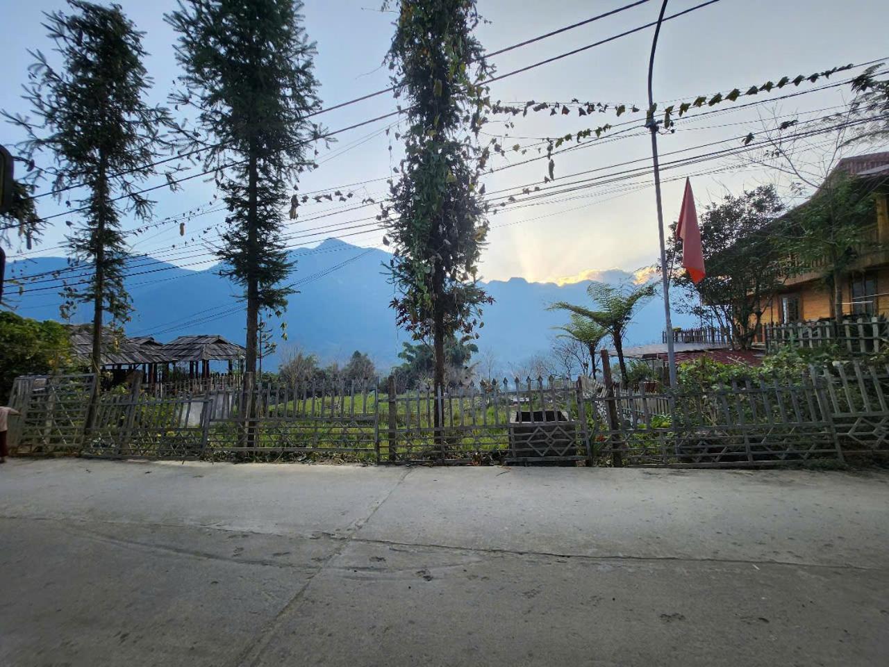 Photo 41