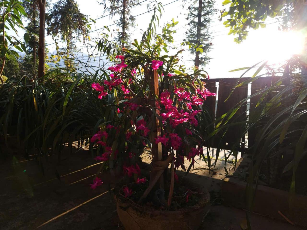 Photo 47