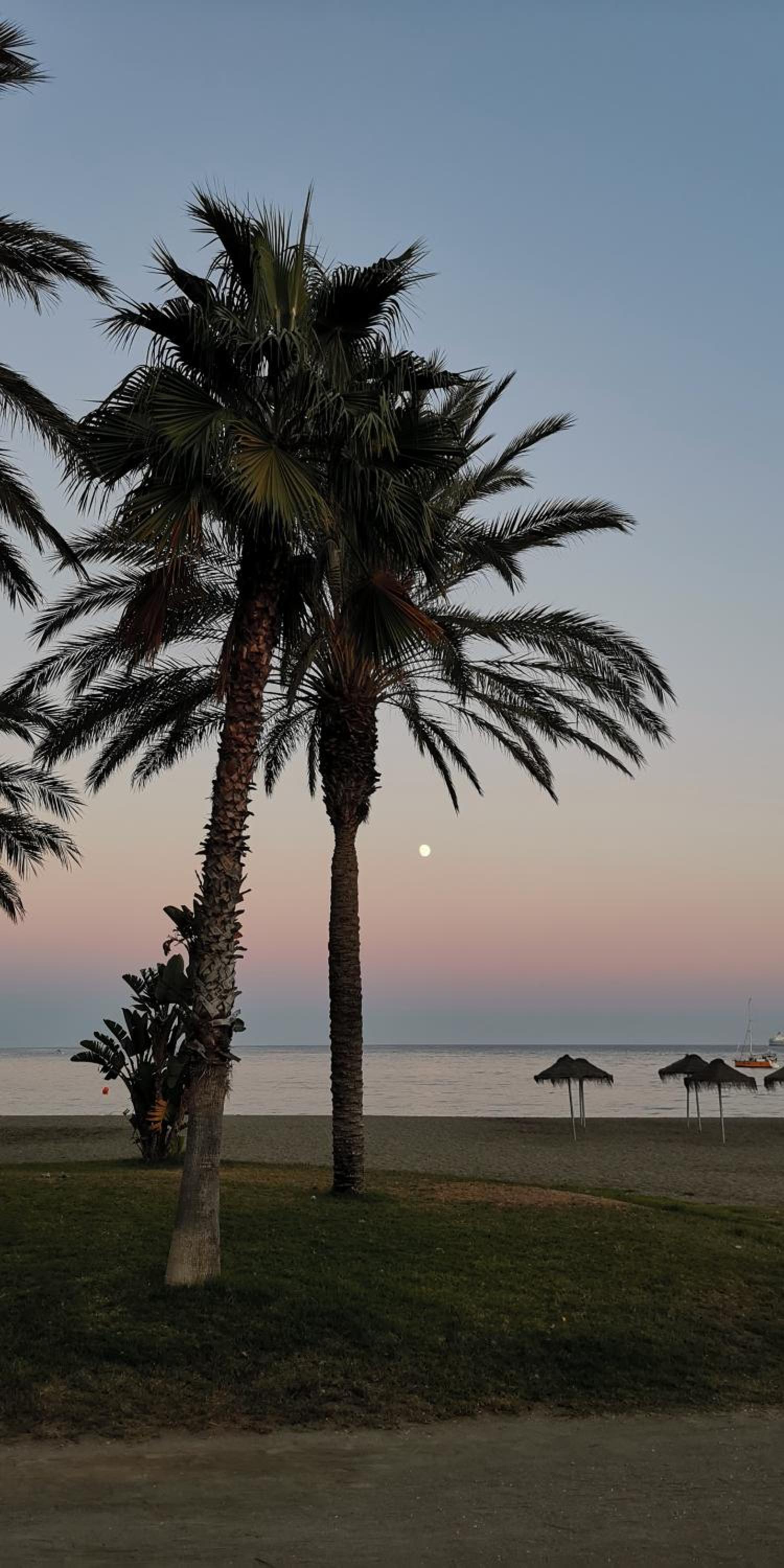 Encantador bajo en Málaga
