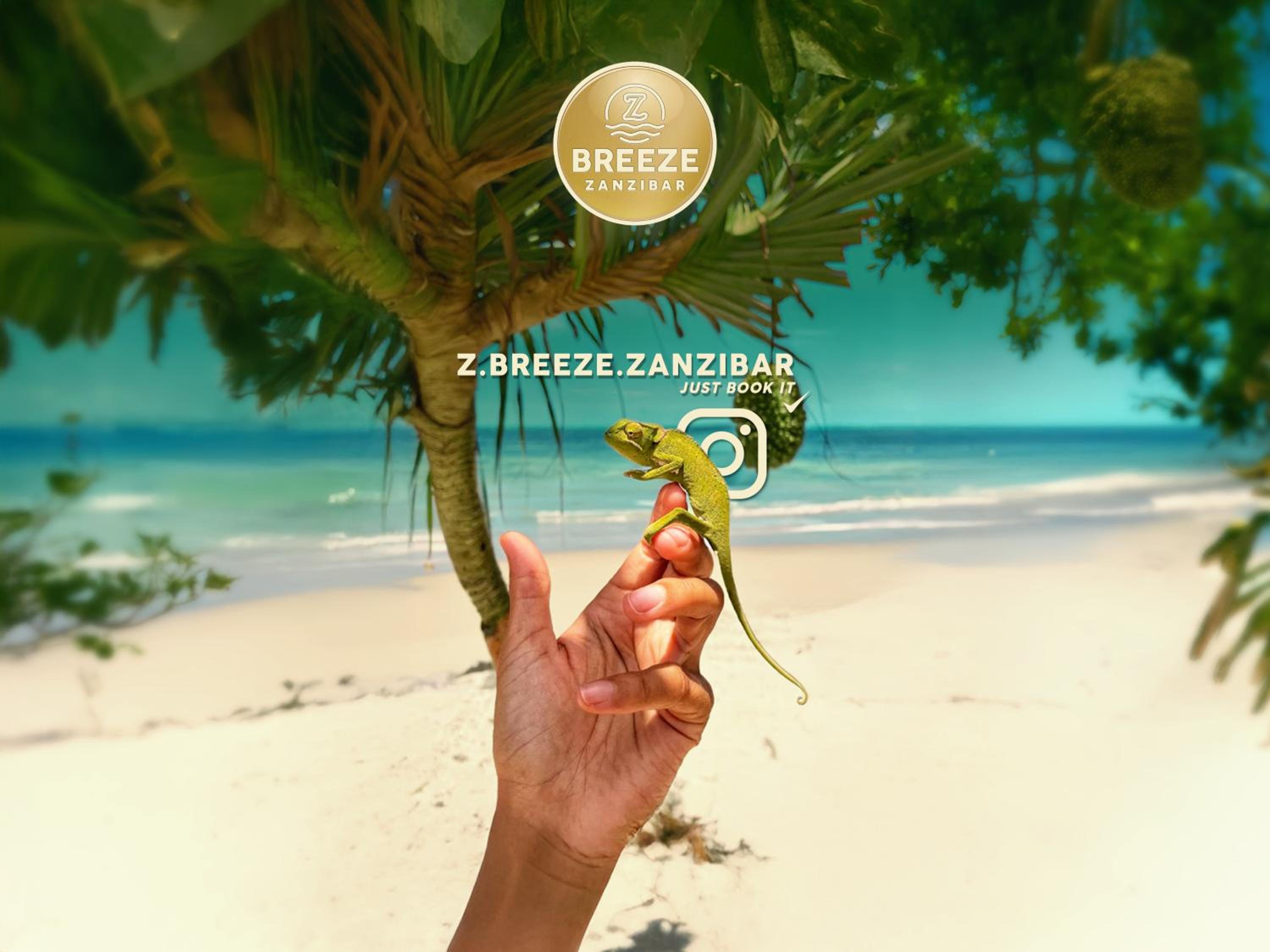 Kiwengwa Vacations - Z-Breeze Zanzibar - Property Image 1