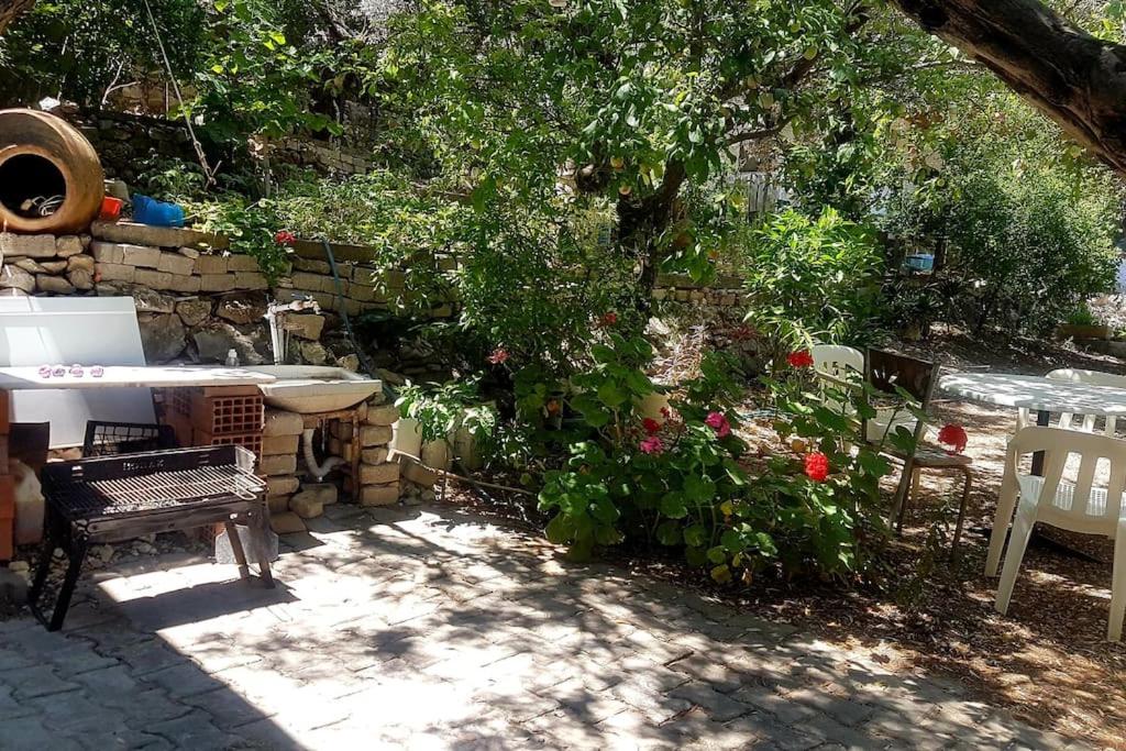 Olive grove mansion - kösedere village
