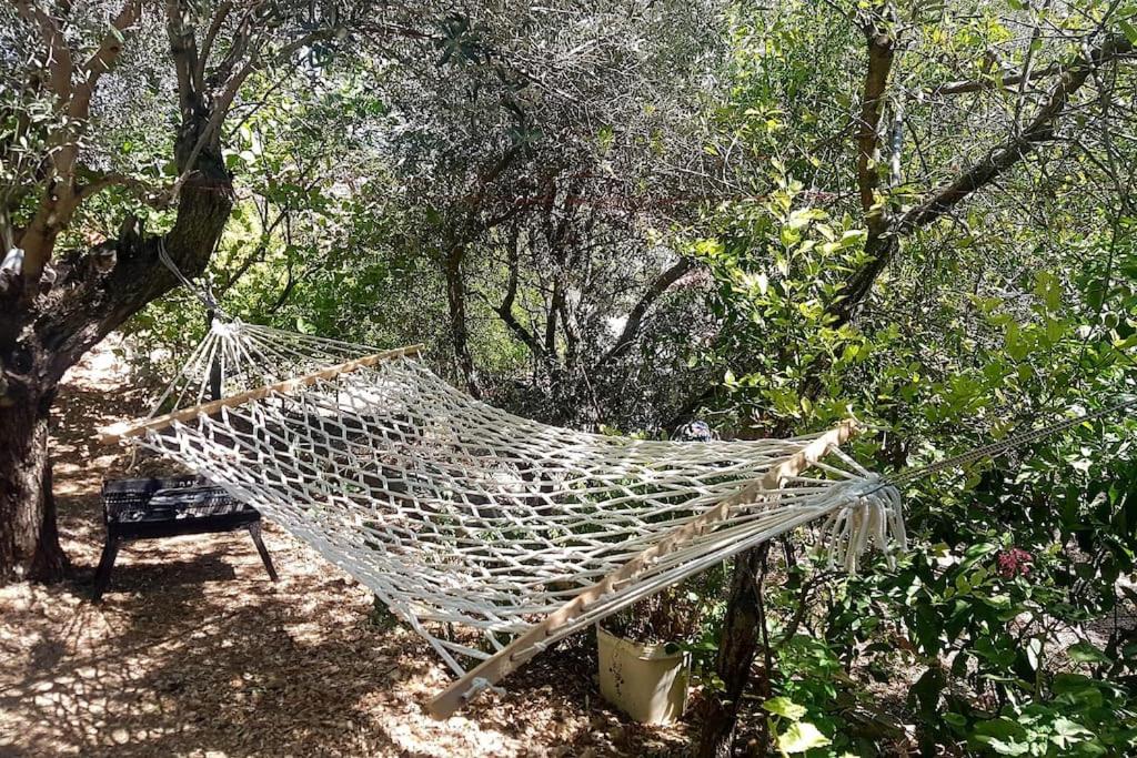 Olive grove mansion - kösedere village