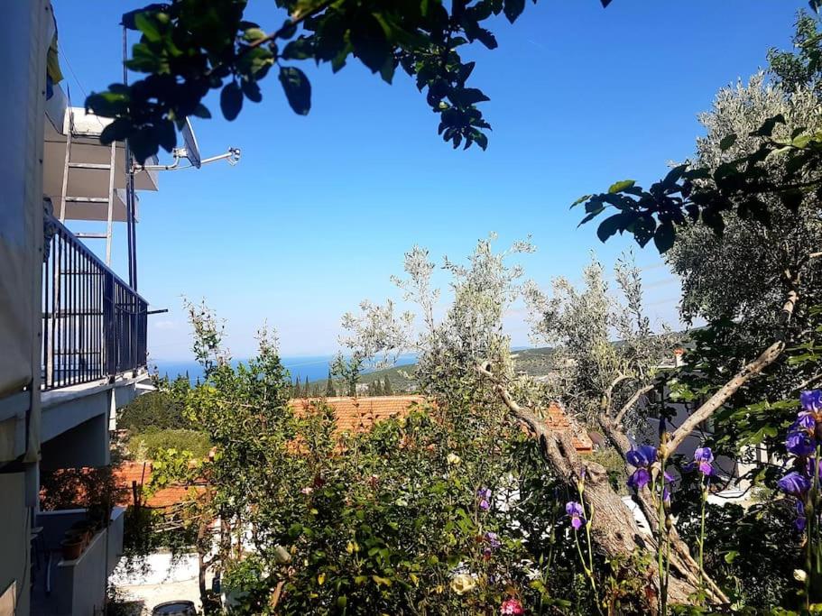 Olive grove mansion - kösedere village