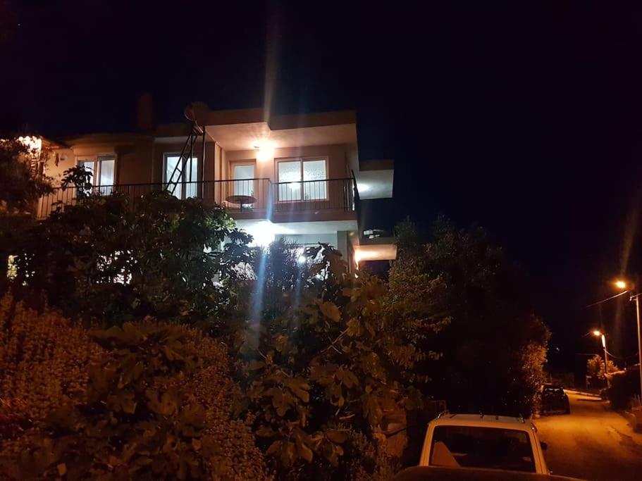 Olive grove mansion - kösedere village