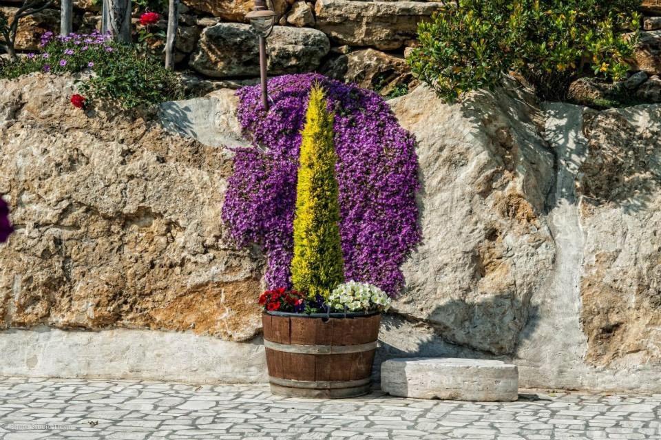 Il Giardino dei Flintstones B&B
