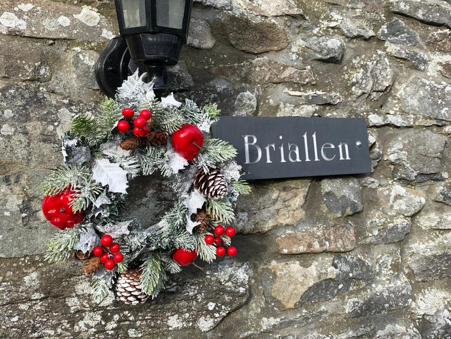 Briallen Aberystwyth