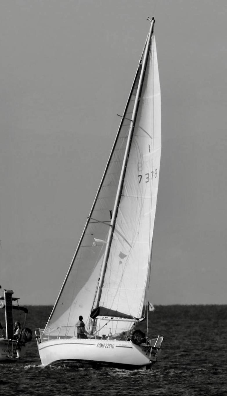 Photo 35