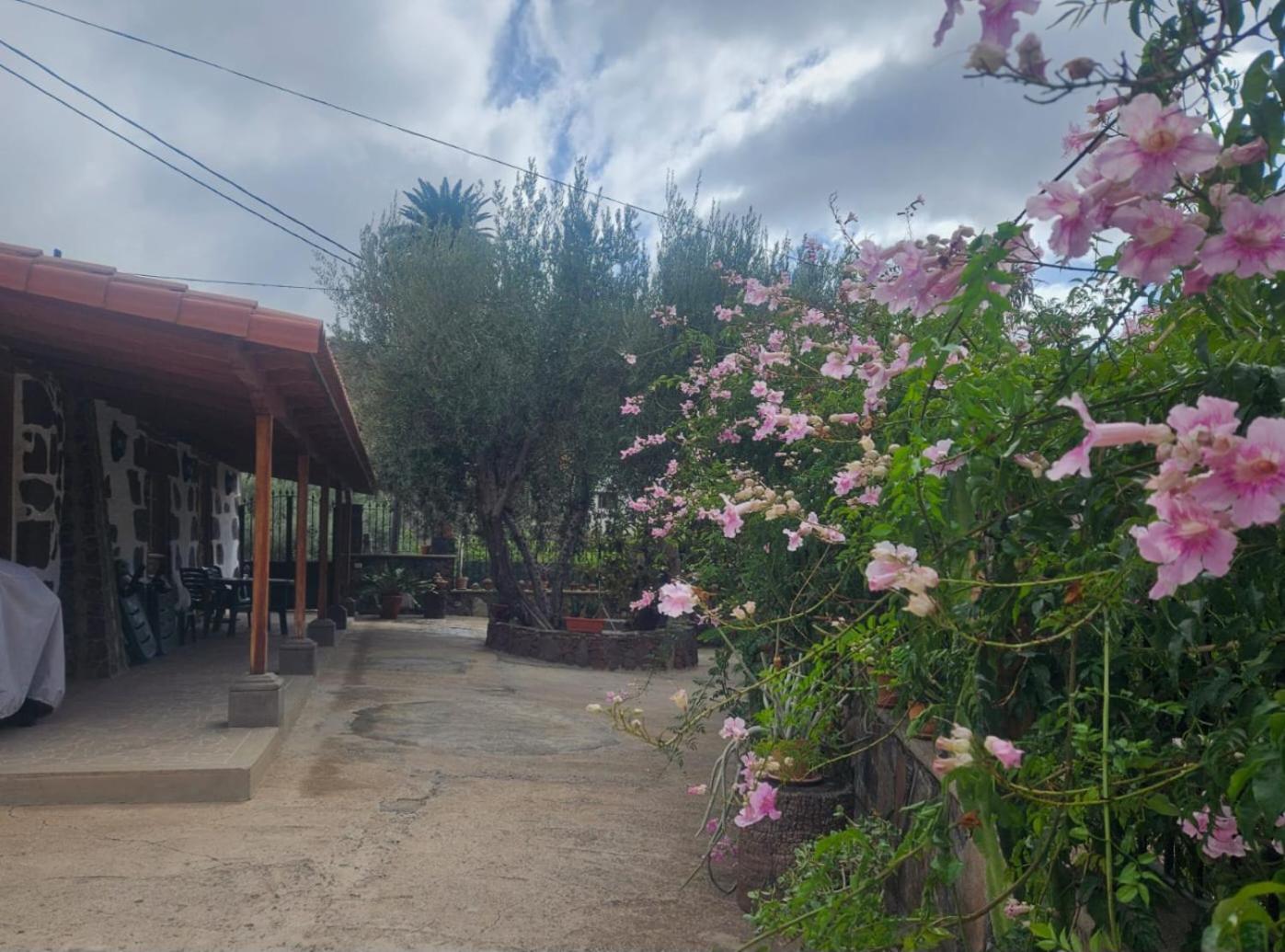 Casa Rosiana