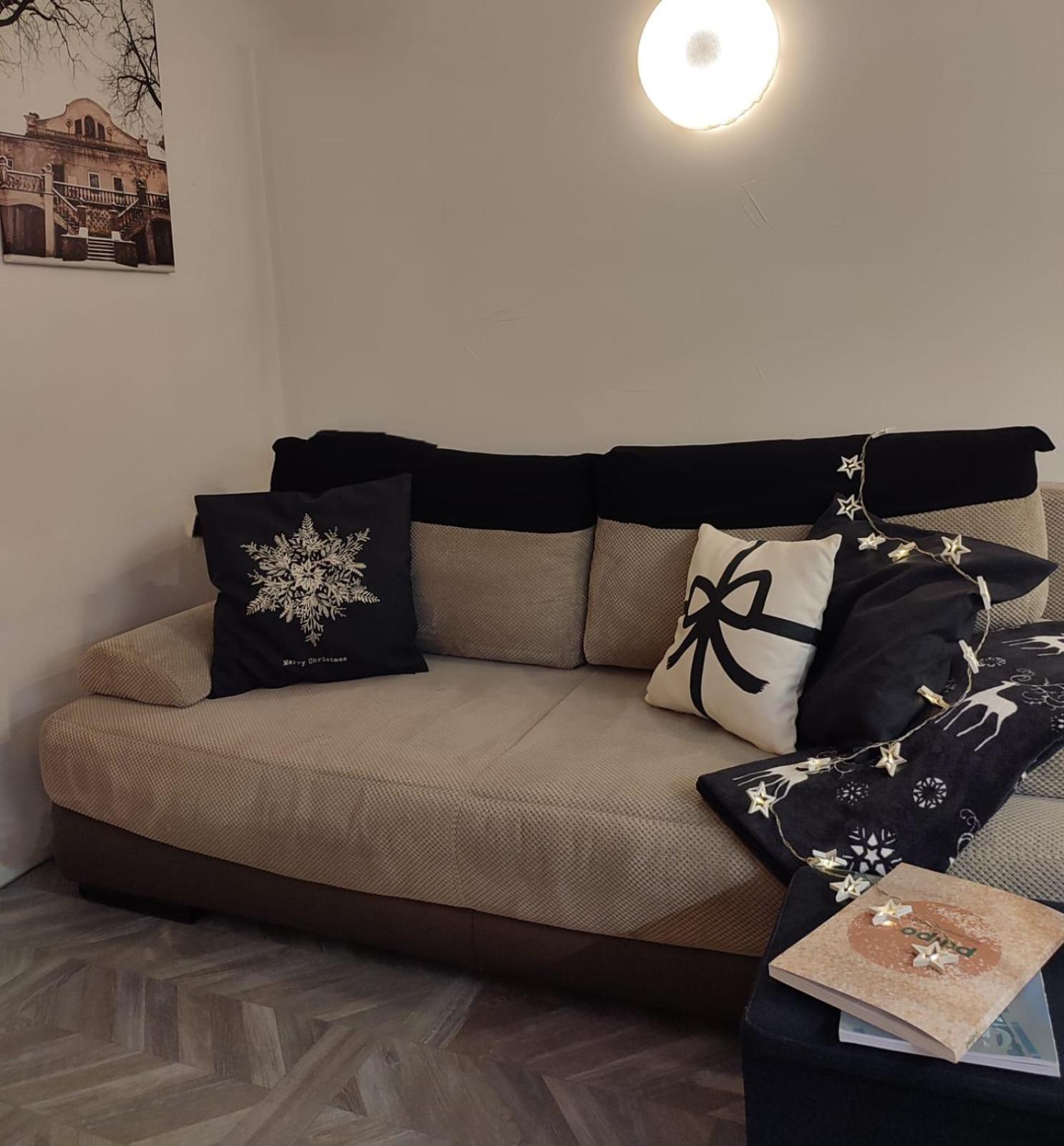 Linkuva Manor Apartment view 4