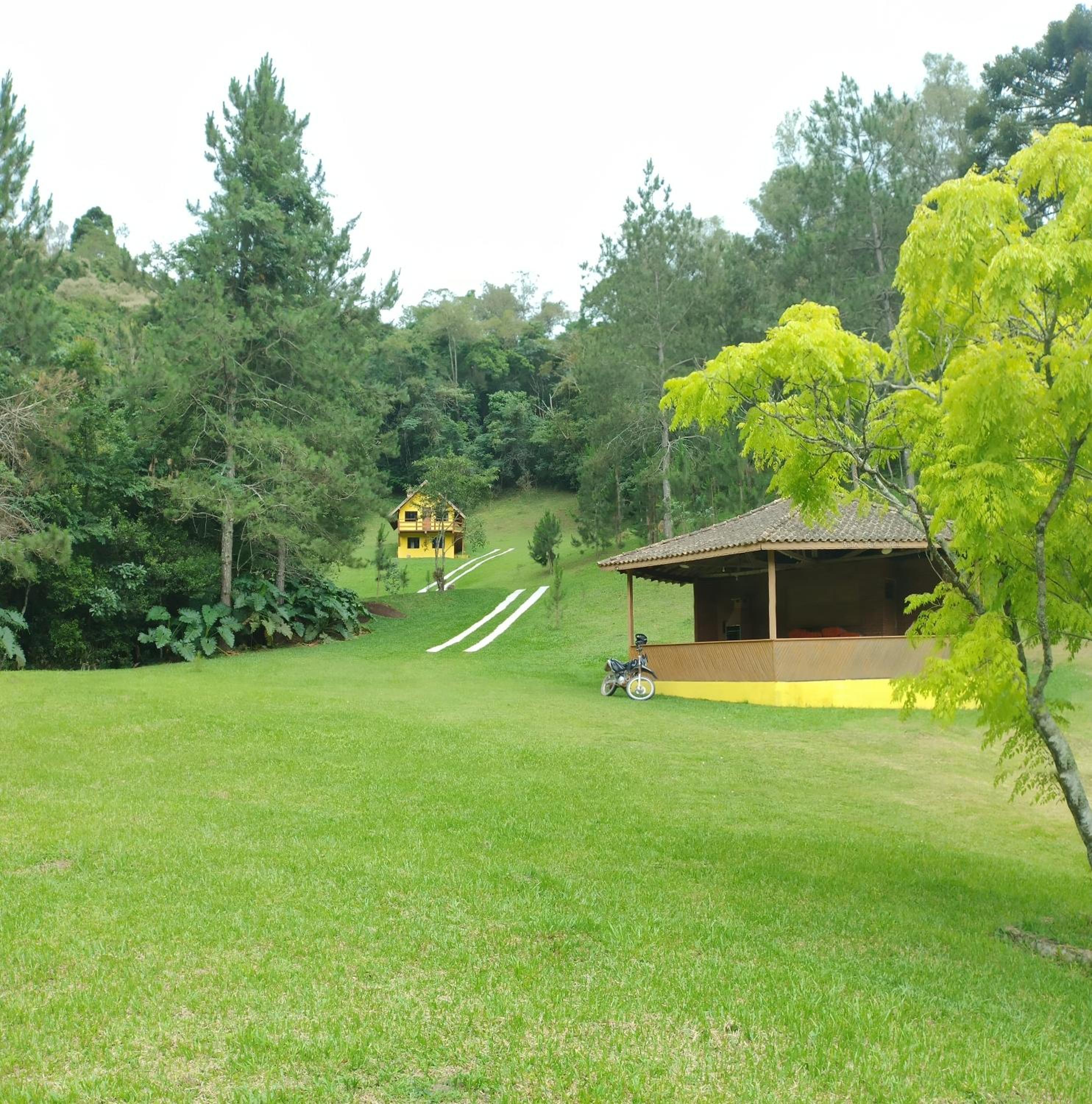 Photo 42