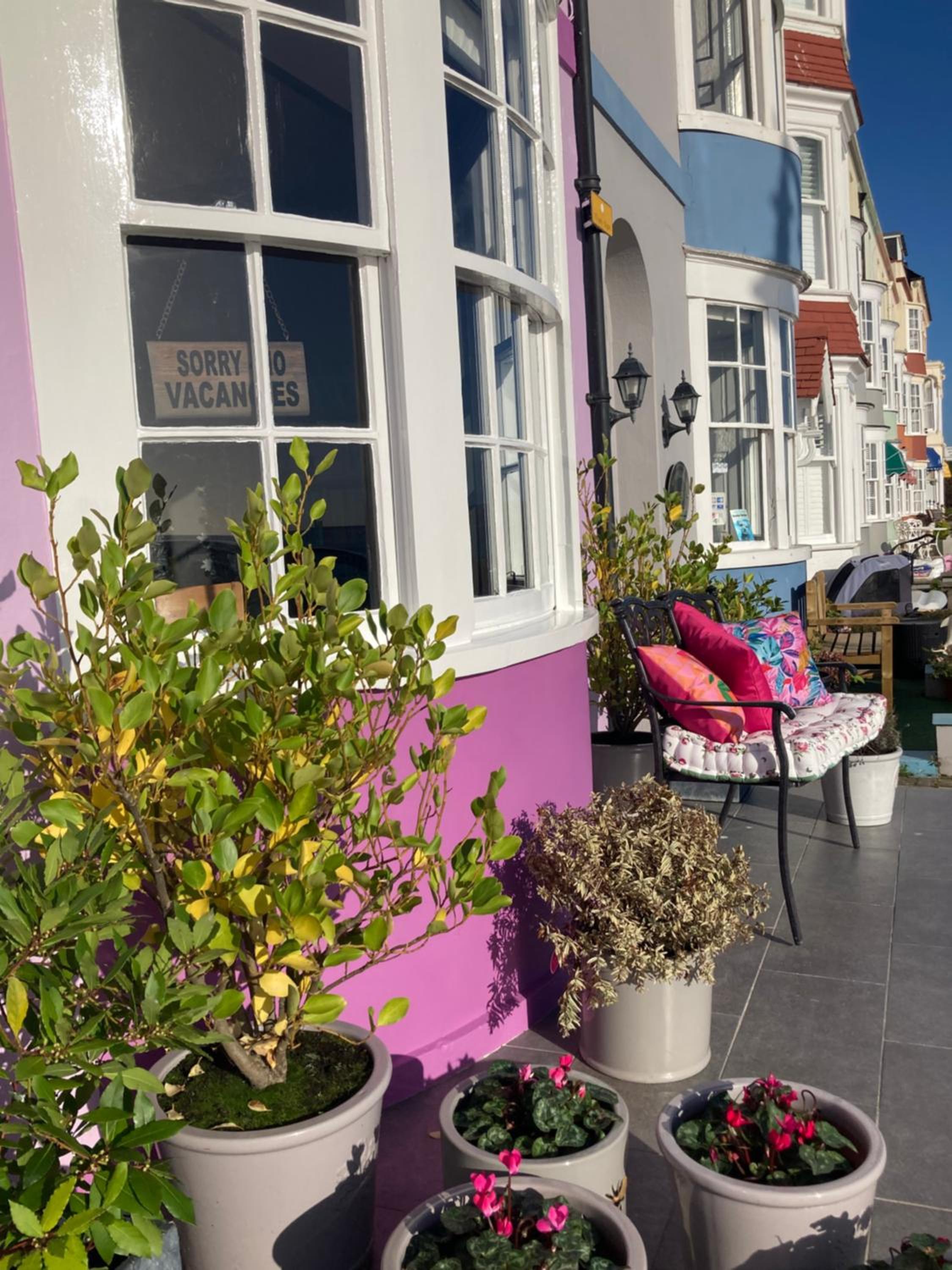 The View on the terrace