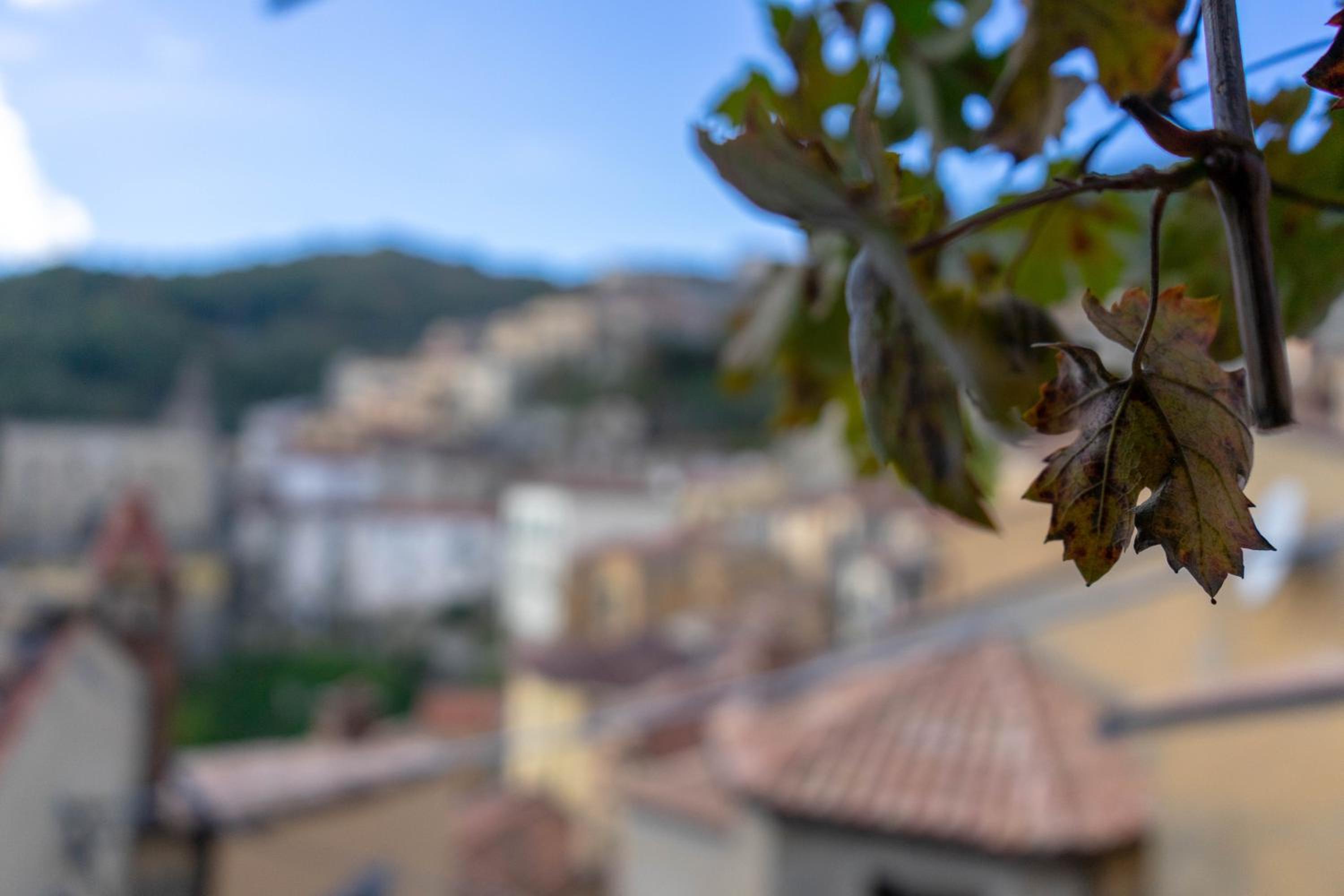 B&B Sud e Magia view 4