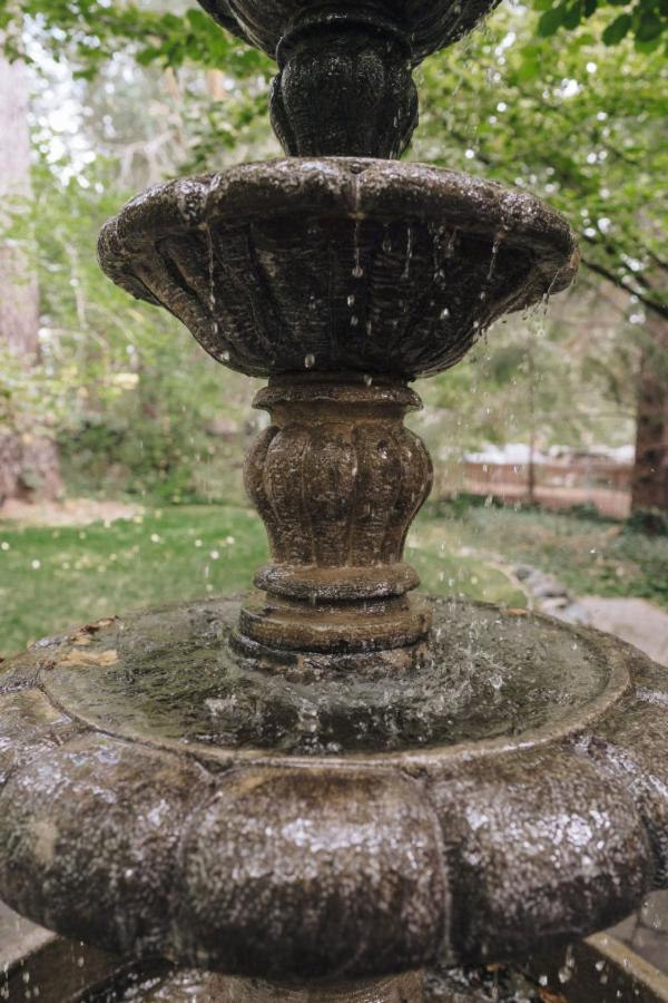 Luxury House, Walk to Downtown or Pioneer Park - Property Image 26