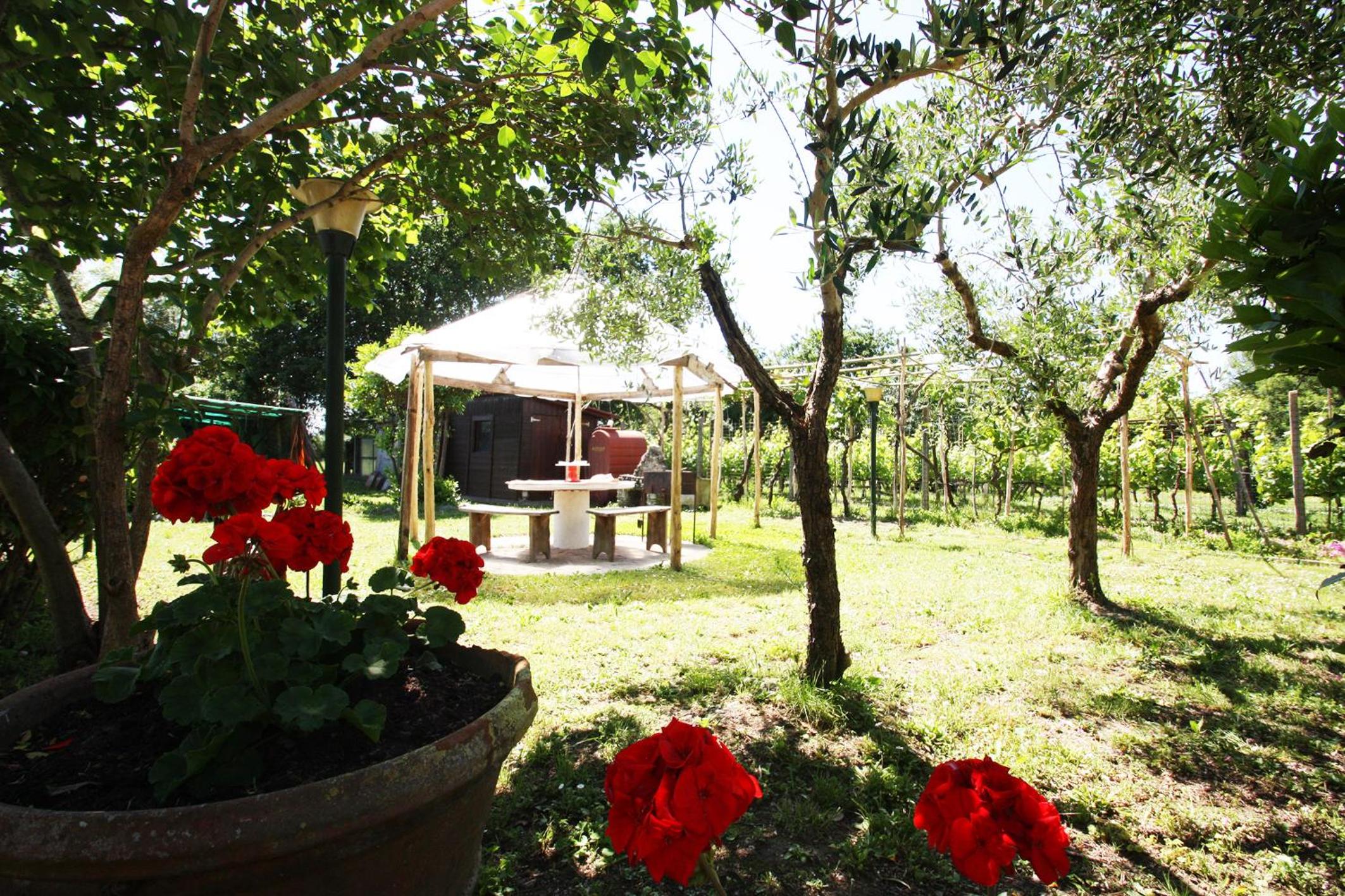 Casa Medina view 4
