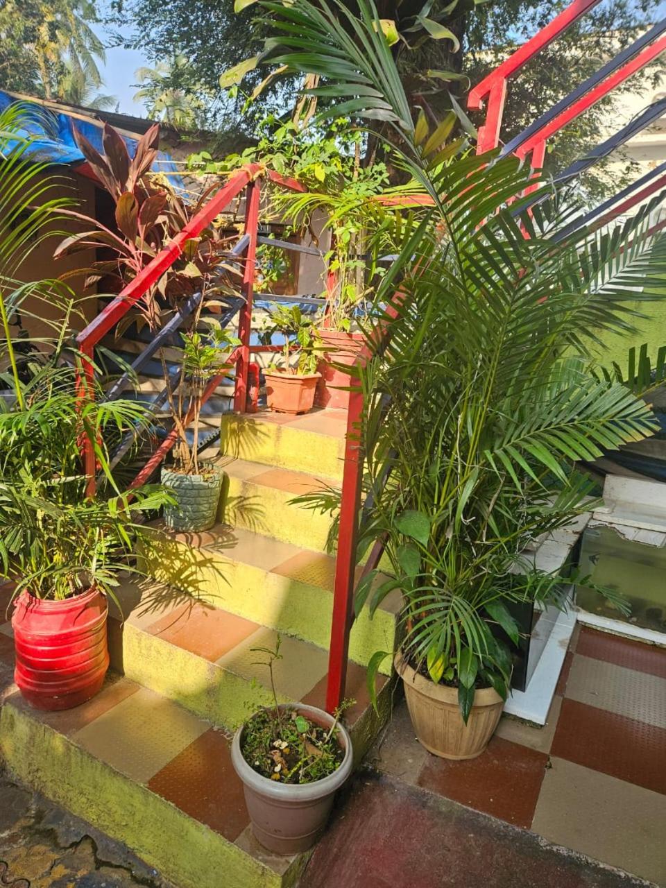 Photo 8