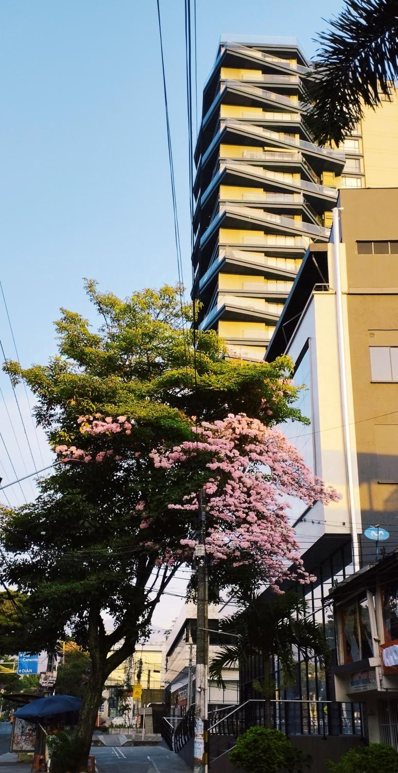 Apartamento moderno en el icónico edificio M30