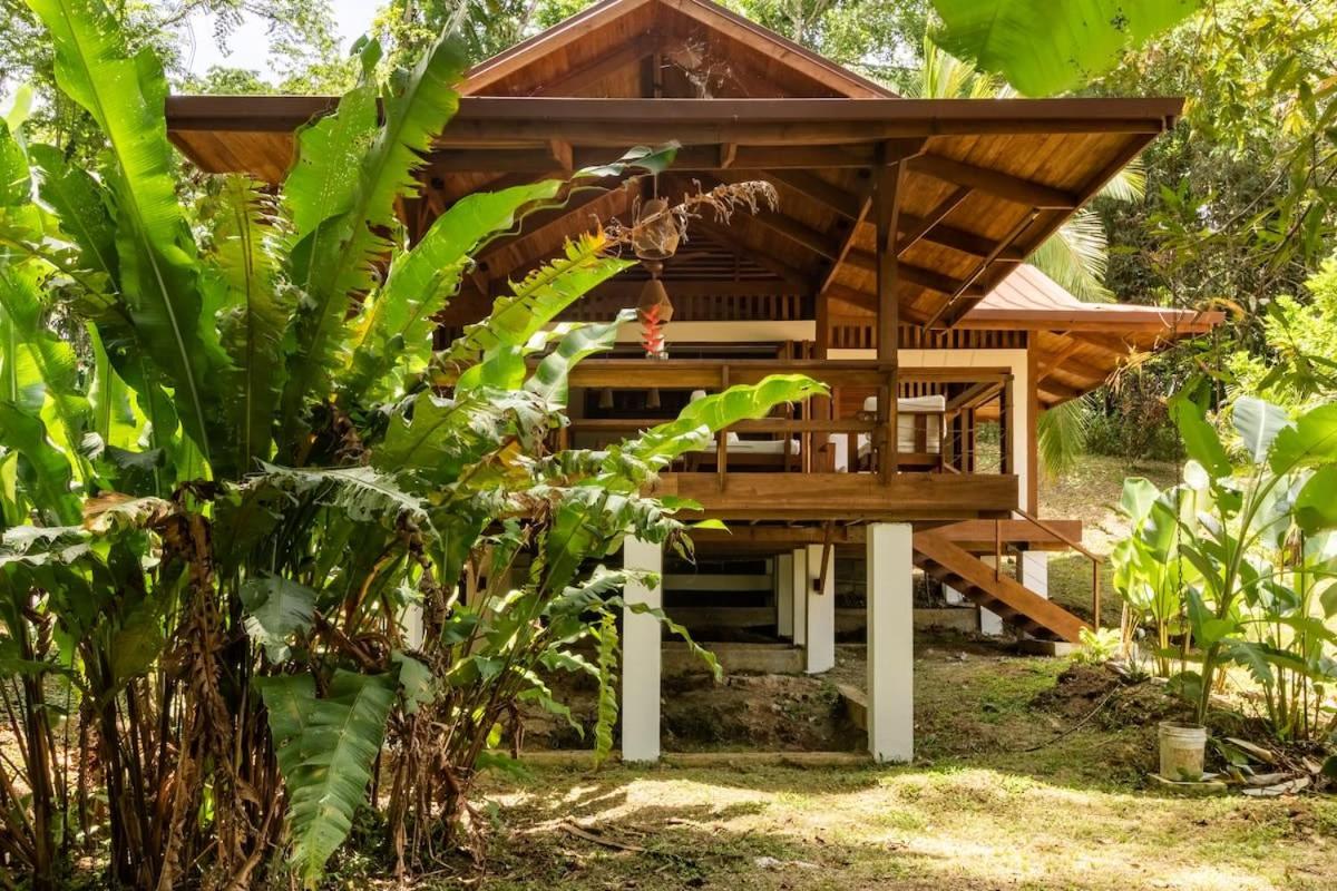 Tropical Paradise Retreat Near Caribbean Beaches