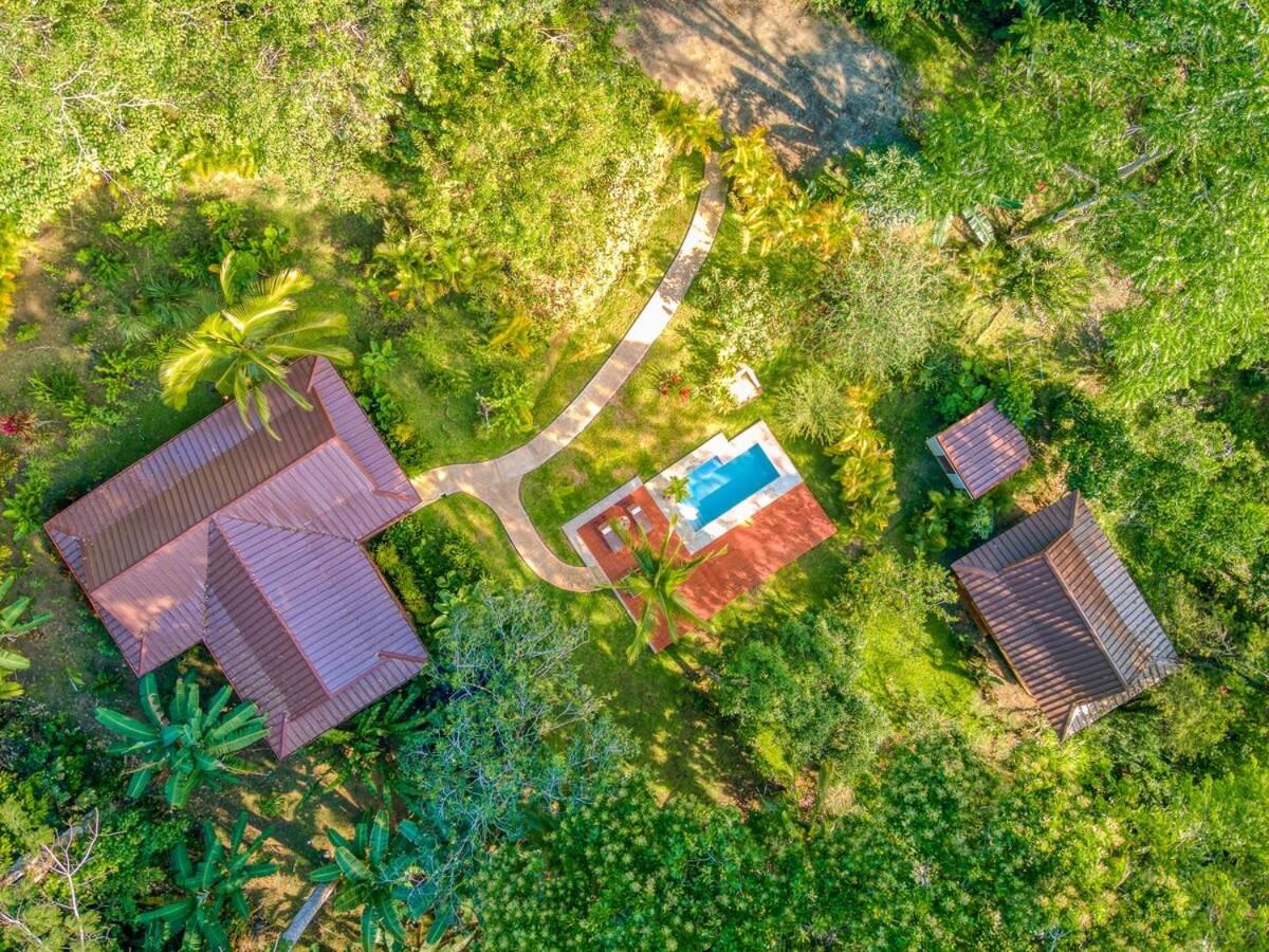Tropical Paradise Retreat Near Caribbean Beaches