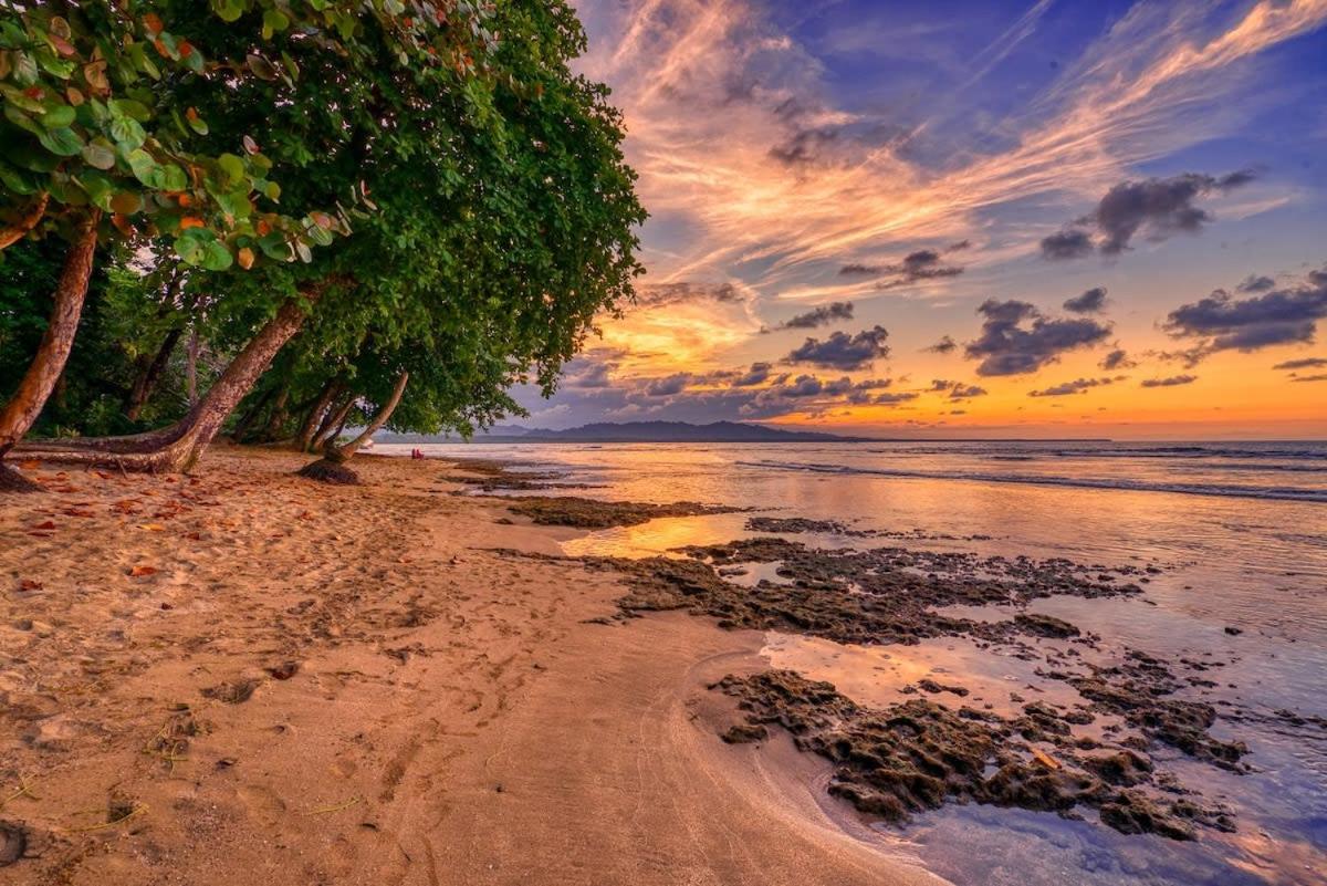 Tropical Paradise Retreat Near Caribbean Beaches