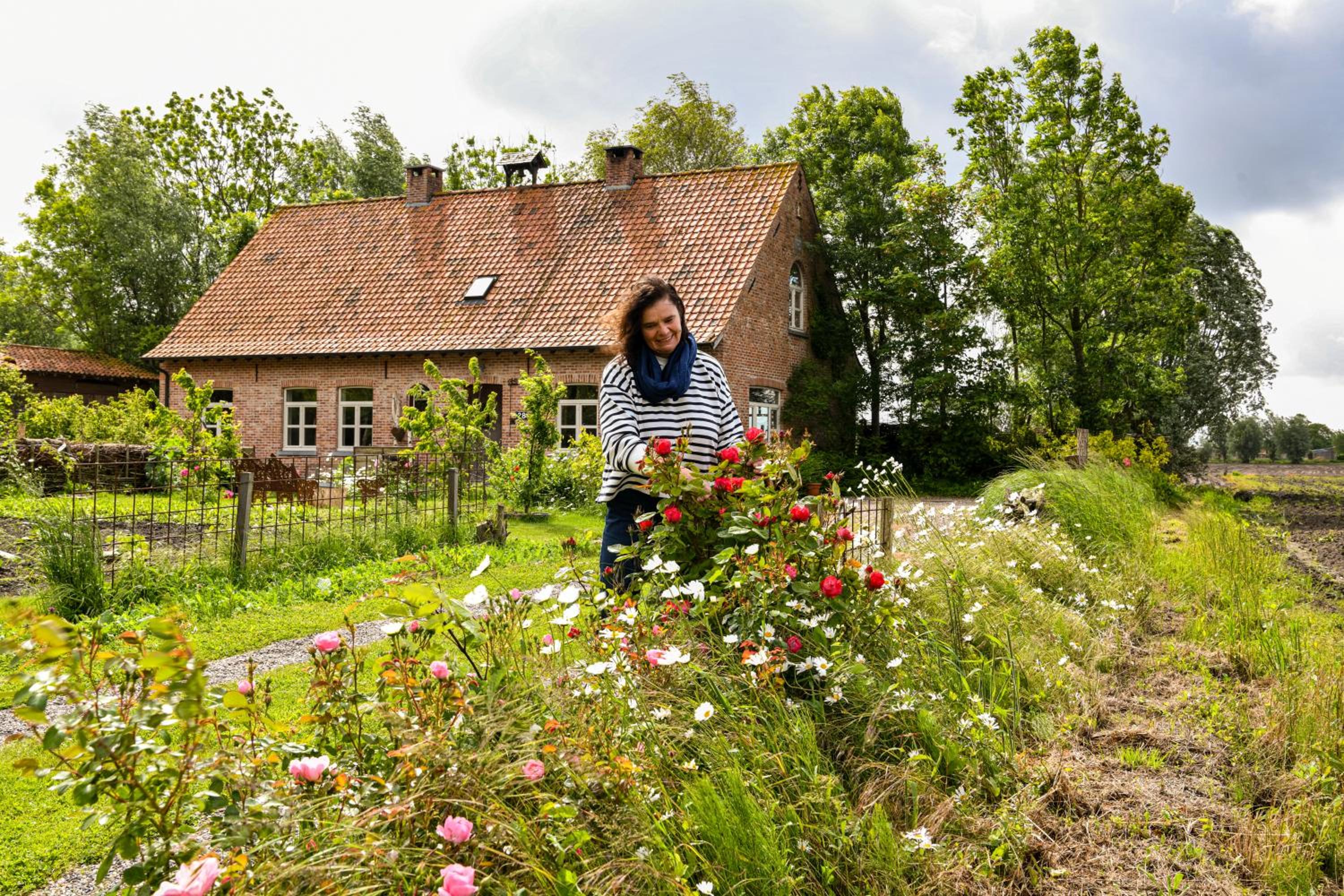 Cottage Moere