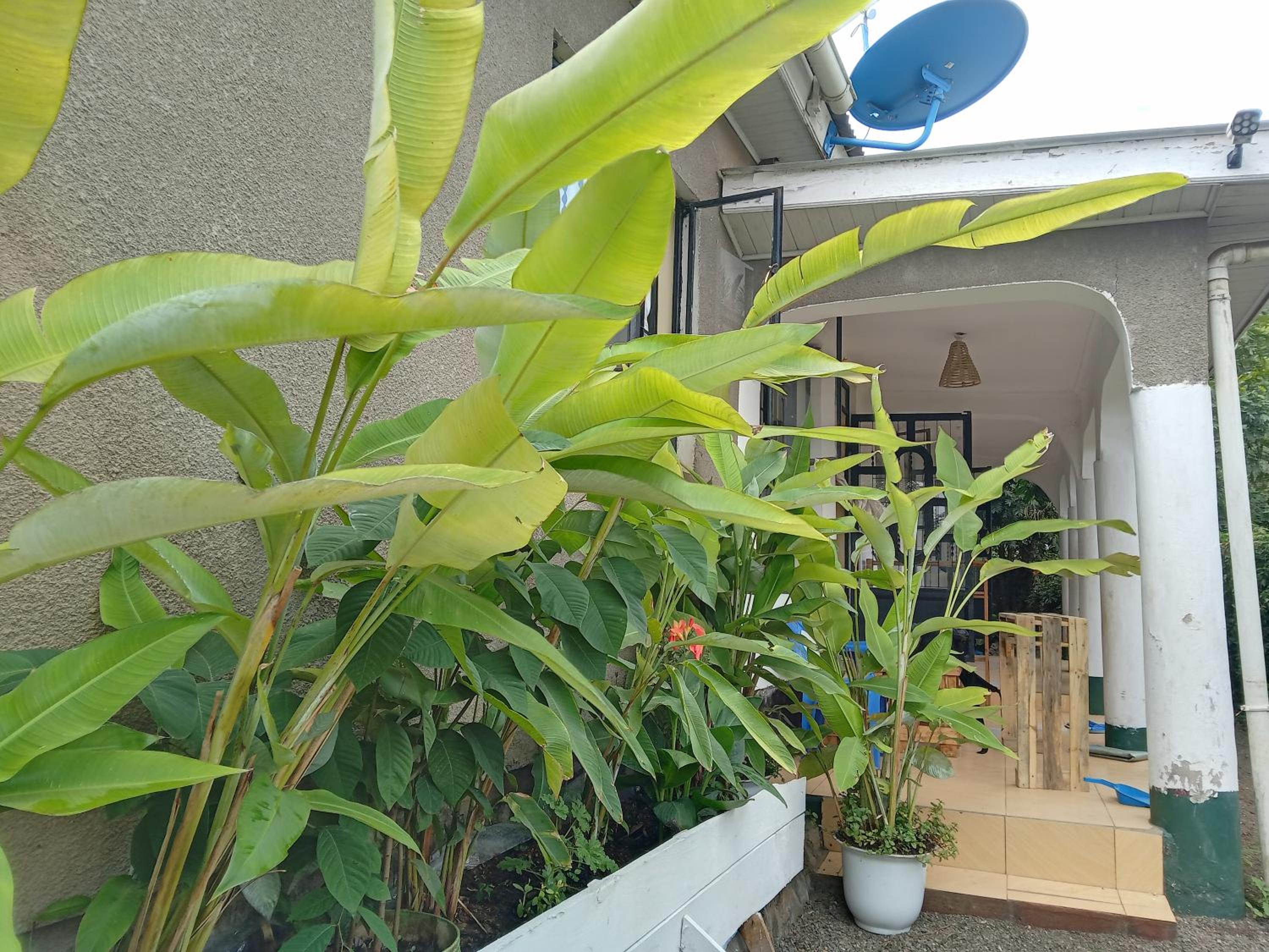 Arusha-paradise-home