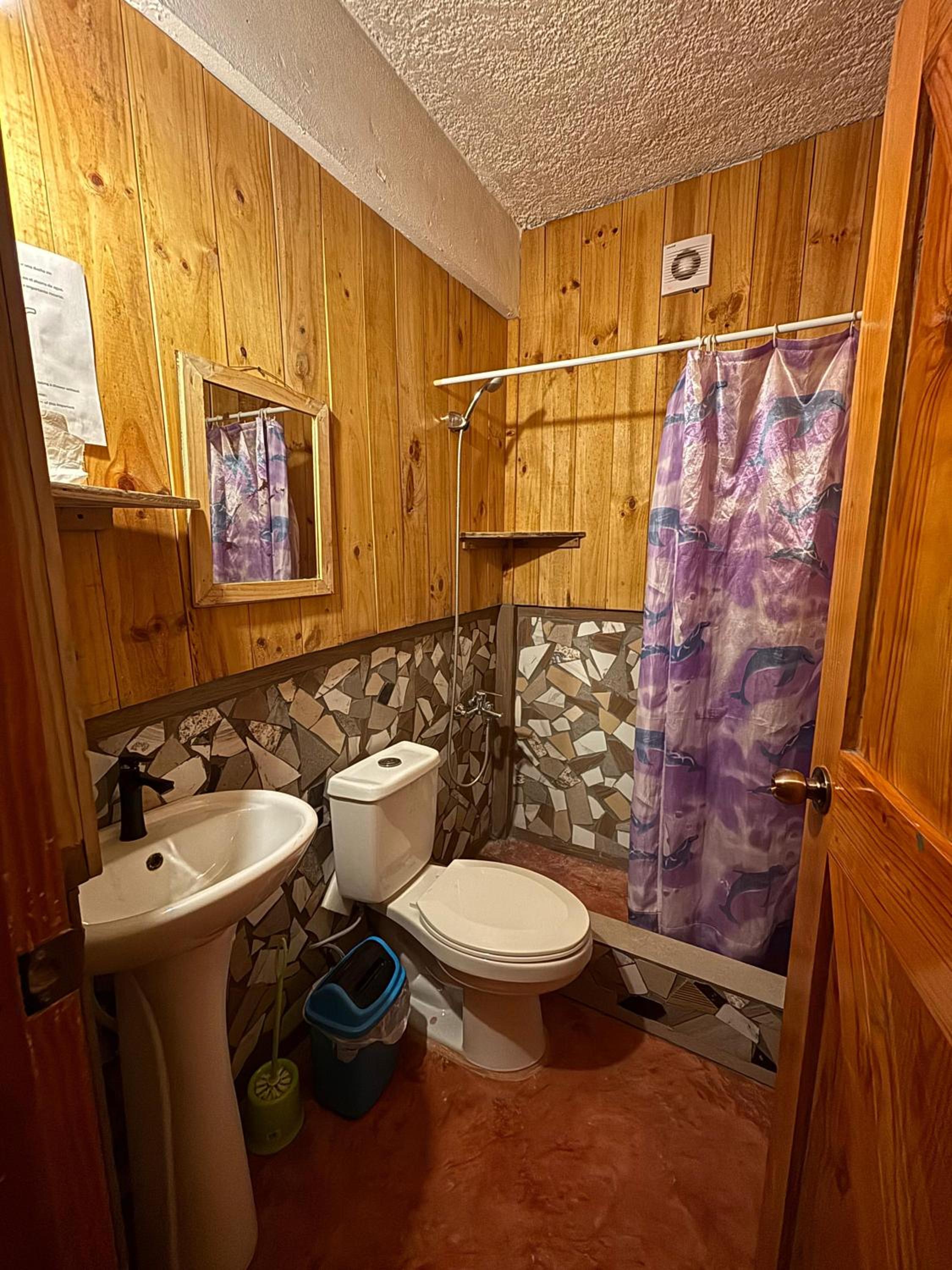 Hostel La Ballena Backpacker